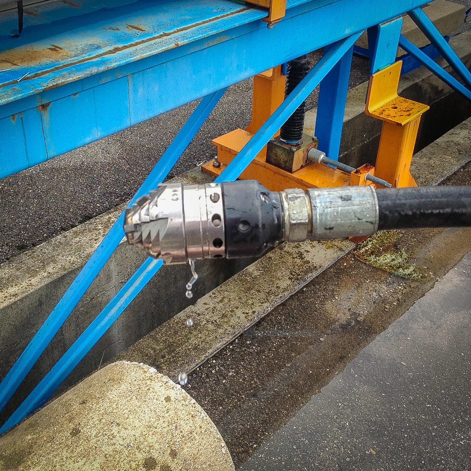 Avian Turbin thumbnail 2